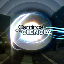 cuadro